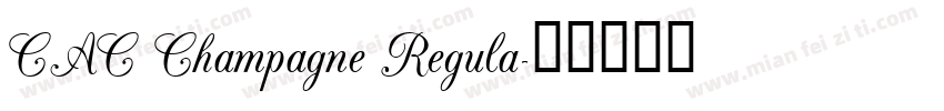 CAC Champagne Regula字体转换